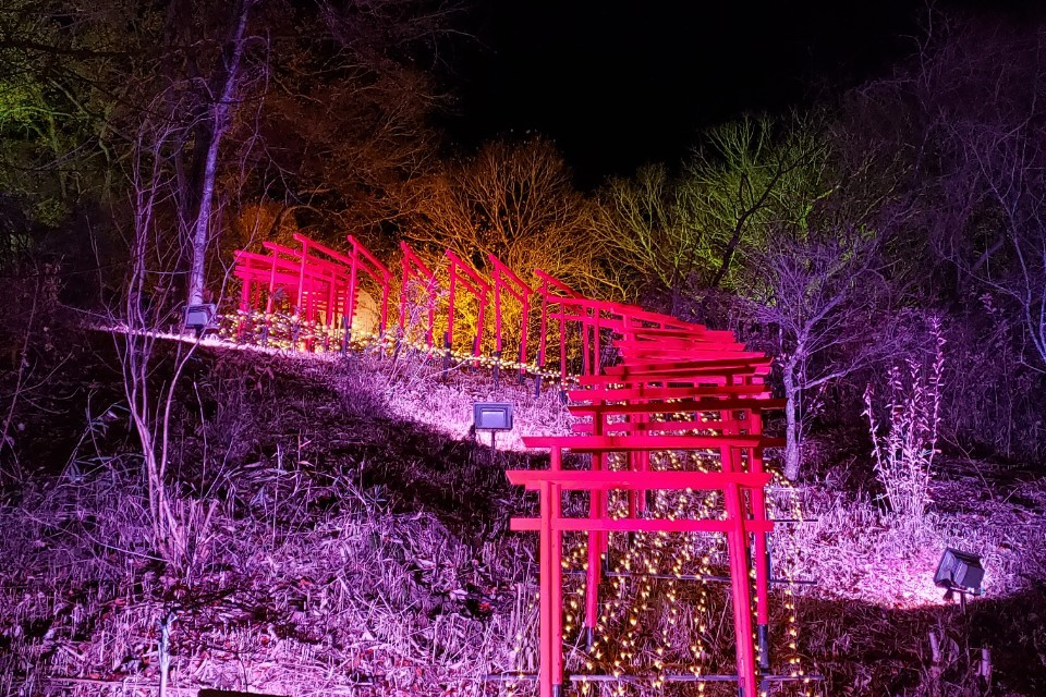Hiroshima Japan Travel Guide: A Must-Visit Destination