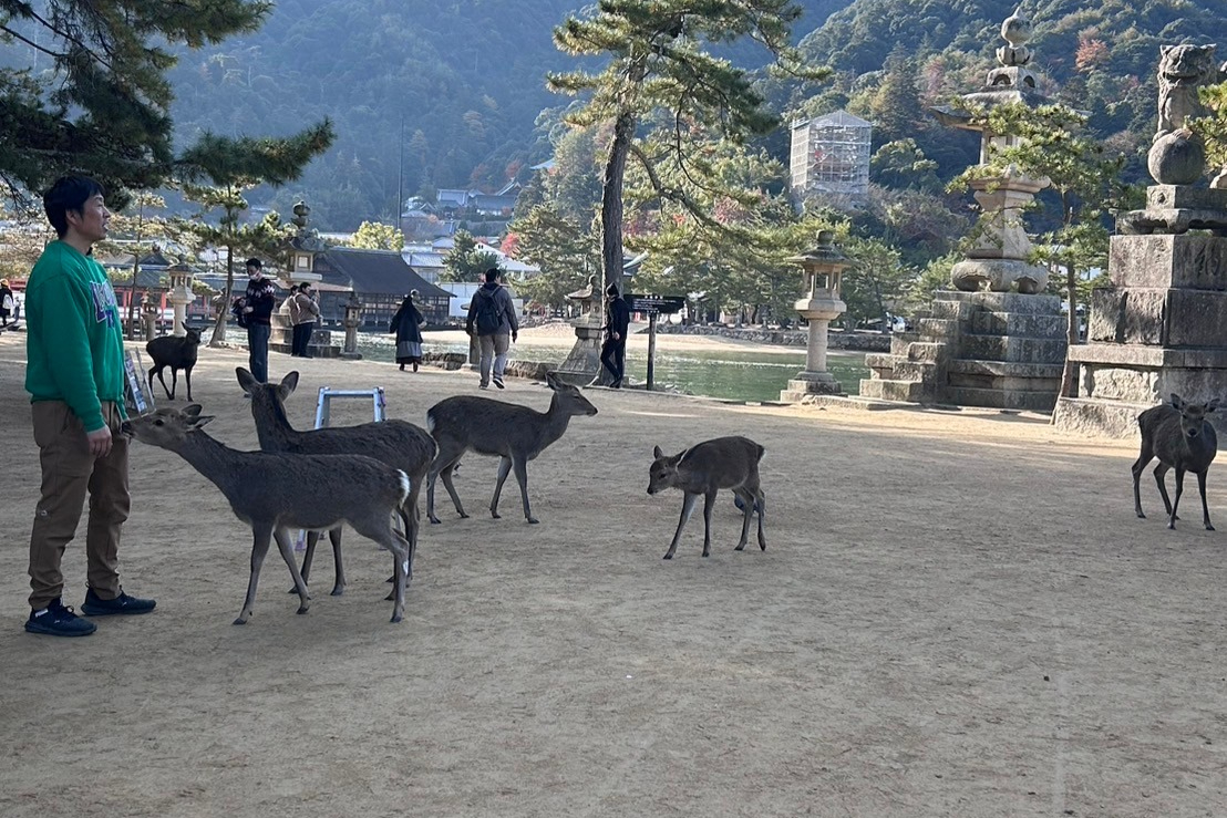 How to Get to Miyajima from Hiroshima: A Complete Guide