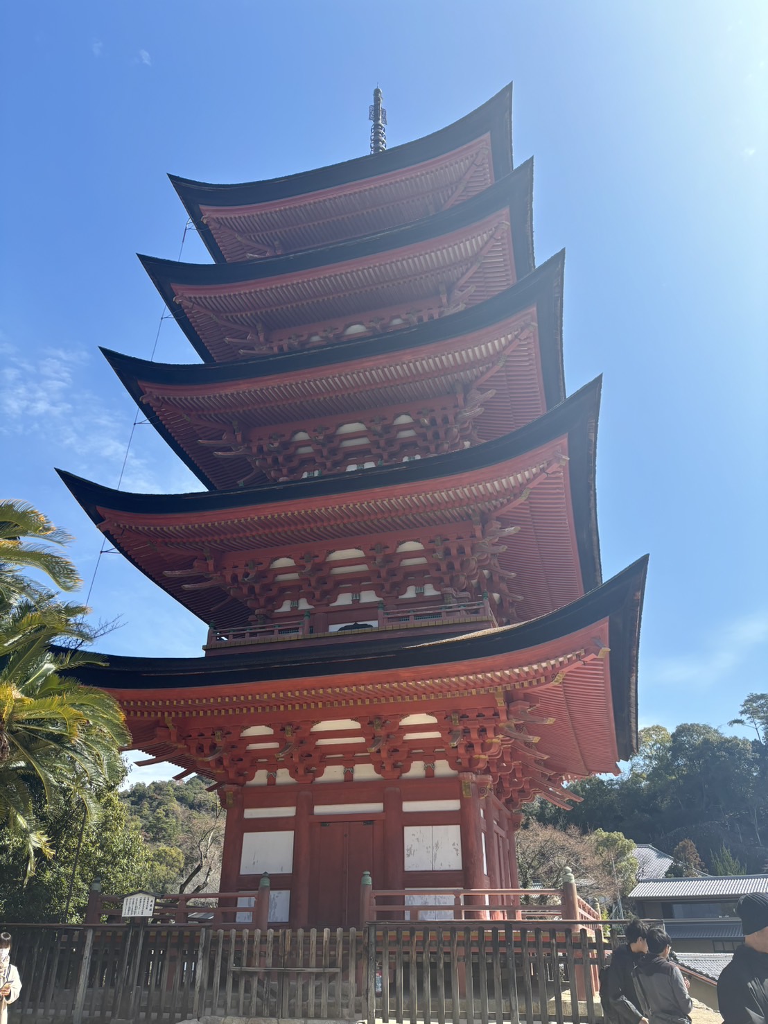 Miyajima Travel Guide: Explore Japan’s Iconic Island
